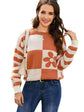 Round Neck Warm Sweater For Women